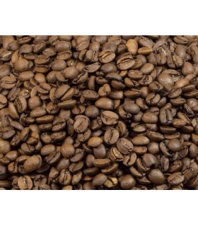 Café Brasil Bourbon Daterra