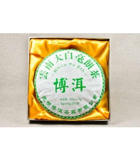 Pu Erh blanco Beeng Cha Sheng, Raw o crudo