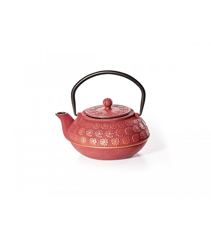 Tetera de hierro "Guizhou" 0,5 L