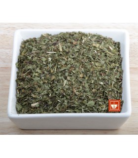 Menta piperita