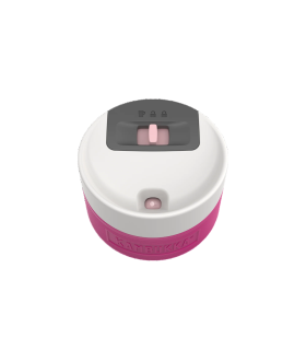 Termo Kambukka Etna 300 ml Brushing Bride