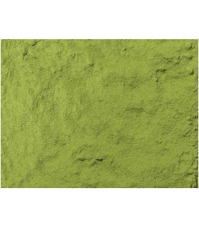 Té verde Japón Matcha Ujicha - BIO