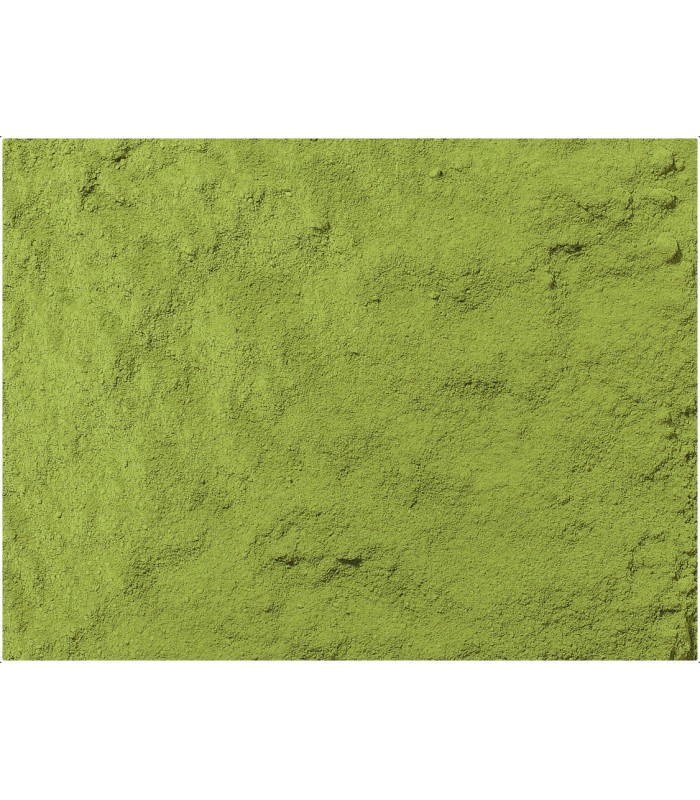 Té verde Japón Matcha Ujicha - BIO