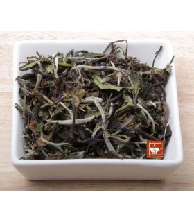 Té blanco Pai Mu Tan