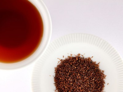 Rooibos, todo lo que tienes que saber...